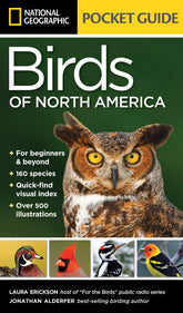 Pocket Guide: Birds Of North America